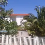 דירה Svalina - Seaview And 130m From *